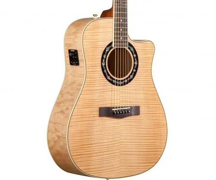 A választás a gitár kezdőknek