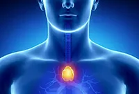 Thymus - hormonok és funkciók az emberi szervezetben (timusz-hormonokat és azok funkcióit) Thymus - hormonok és funkciók az emberi szervezetben
