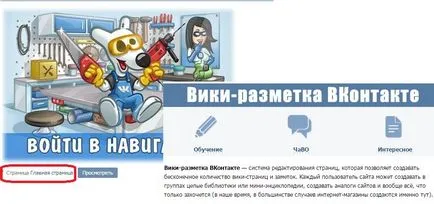Wiki oldalt VKontakte, bebiklad