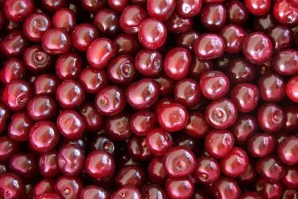 Cherry likőr otthon nélkül vodka és más receptek (vodka) Cherry likőr otthon nélkül vodka és egyéb receptek