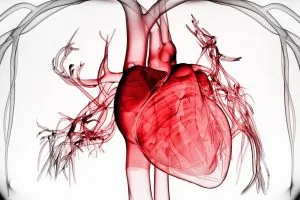 A nikotin kárt az emberi test (body) nikotin kárt az emberi test
