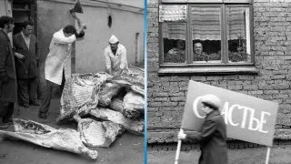 Itt van, hogy a bolygónk nézne ha az emberiség eltűnik