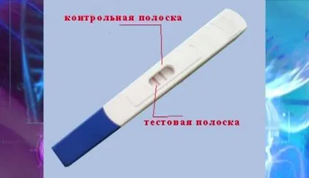 Mindent a meddőség - hogyan kell használni gyorsteszt terhesség