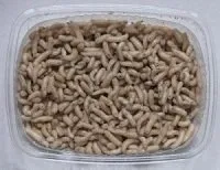 Tárolás kukacok otthon - halászat a feeder