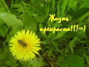 Életszemlélet, amelyen meg kell feladni a nyertes szelvény (megtekintés) Életszemlélet, amelyen meg kell feladni a nyertes szelvény