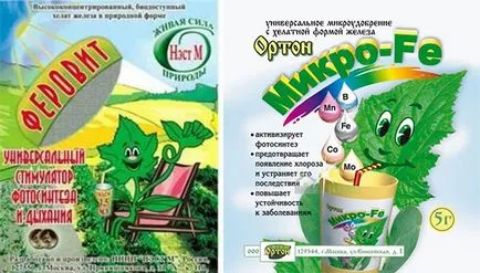 Klorózis - kezelésére, megelőzésére és típusok
