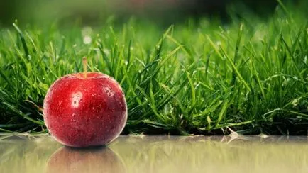 Összeesküvés az Apple hatékony és bevált módszer