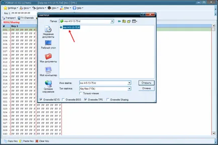 Öntőcsatorna és kulcsok OPENBOX X-800, firmware-vevőkészülékek (OPENBOX X-800) Öntőcsatorna és kulcsok OPENBOX X-800, firmware-vevőkészülékek