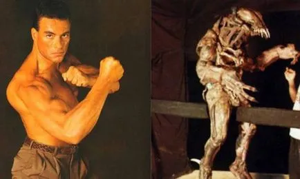 Jean-Kod Van Damme Top 10 kevésbé ismert tényeket