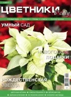 Magazine virágágyások a kertben ingyenesen letölthető torrent (Journal | virágágyások a kertben) Magazine virágágyások a kertben torrent letöltés ingyen