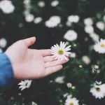 Élő az emberek - ez olyan, mint bemenni a rekesz (élő) Élő az emberek - ez olyan, mint lovagolni egy rekeszt