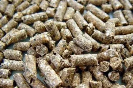 Olajpogácsára - mi ez, hogyan lehet a napraforgó étkezés otthon, a recept (Napraforgó) Olajpogácsára - mi ez, hogyan lehet a napraforgó étkezés otthon, recept