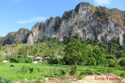 Thaiföldön élő