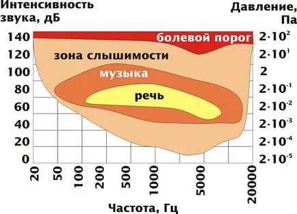 Sound, hanghullámok, infrahang, ultrahang felbontású források, a normák SanPiN (hang) Sound, hanghullámok, infrahang, ultrahang felbontású források, normák SanPiN