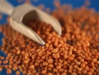 10 продукта, които са полезни за храносмилането, здравословен начин на живот, здраве, аргументи и факти (здраве: храна) 10 продукта, които са полезни за храносмилането, здравословен начин на живот, здраве, аргументи и факти