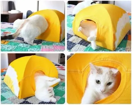 10 живота хакерски за собствениците на котки