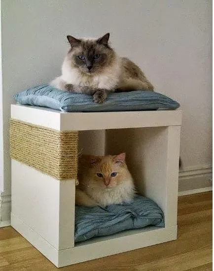 10 живота хакерски за собствениците на котки