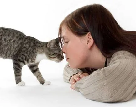 5 начина да правят нежна котка - котки около