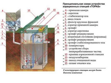 Аеробни бактерии и микроорганизми за септичен