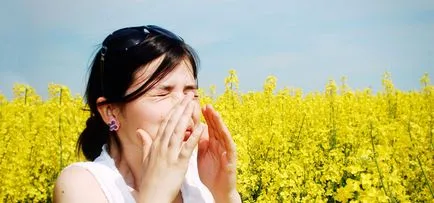 Алергични заболявания причини, симптоми и лечение (заболяване) Алергични заболявания, причини, симптоми и лечение