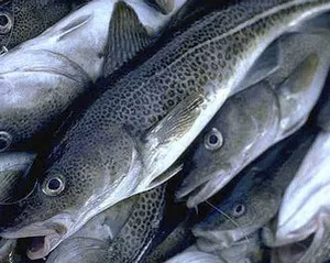 Полезно от капсули с рибено масло за жени, мъже и деца