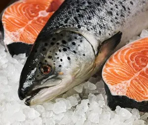 Полезно от капсули с рибено масло за жени, мъже и деца