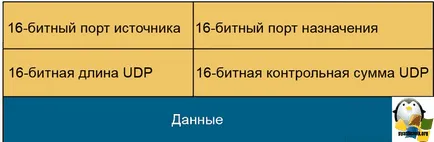 Какво е различен от UDP за протокол TCP, настройка прозорци и Linux сървъри (битова контролна & GT; Control) Какво е различен от UDP за протокол TCP, настройка прозорци и Linux сървъри