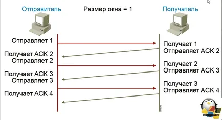 Какво е различен от UDP за протокол TCP, настройка прозорци и Linux сървъри (Минути) Какво е различен от UDP за протокол TCP, настройка прозорци и Linux сървъри