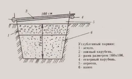 Какво е различна от тази на парникови парникови строителство, размер, отопление
