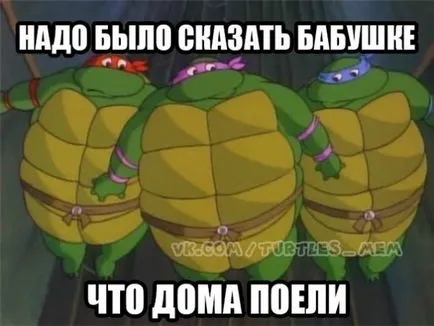 Костенурките нинджа, Netlore Костенурките Нинджа, религиозни символи, анимационни филми