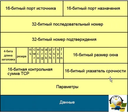 Какво е различен от UDP за протокол TCP, настройка прозорци и Linux сървъри (Минути) Какво е различен от UDP за протокол TCP, настройка прозорци и Linux сървъри