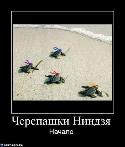 Костенурките нинджа, Netlore Костенурките Нинджа, религиозни символи, анимационни филми