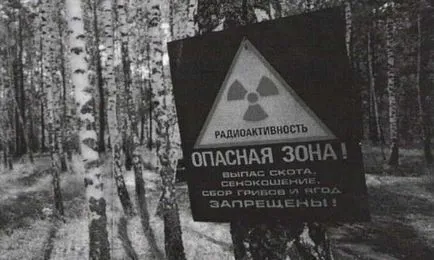 Аварията в Чернобил, както е било, футурист - бъдещето е вече тук (гласуване) Аварията в Чернобил, както е било, футурист - бъдещето е тук