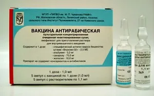 Какво да направя, когато кучето е ухапан от някакви инжекции и колко