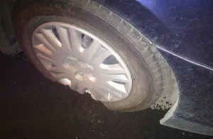 Това казва кучето на собственика му - живее в Украйна