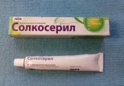 Amely készült zsidótövisbogyó