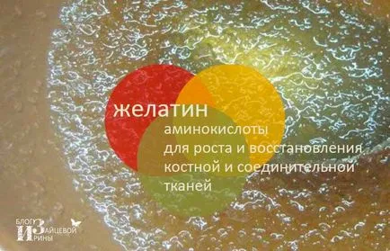 Amely készült zsidótövisbogyó Amely készült zsidótövisbogyó