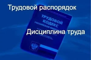 Какво е вътрешните правила на организацията, и от кого са одобрени