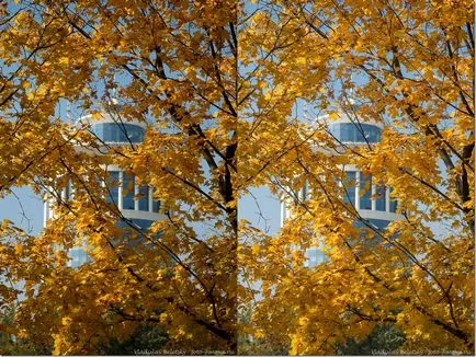 Какво е Lightroom
