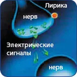 Какво лекарят трябва да каже на пациента назначаване текстовете на
