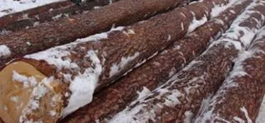 Дървени хижи в Русия
