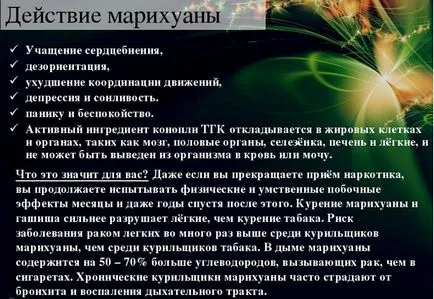 Ефект на марихуаната върху тялото