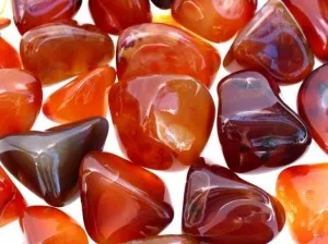 Gems България основната производствена площадка