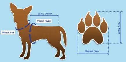 Две майсторски класове по шиене и плетене дрехи за играчка-териер с размера на таблицата