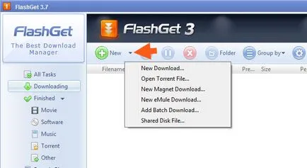 FlashGet какво тази програма е и дали е необходимо