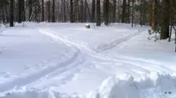 Отгатване чрез огледала какво ефективно