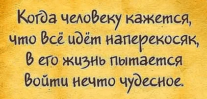 Фрази на мислите