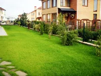 На трева - купуват семена в онлайн магазина 