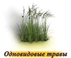 На трева - купуват семена в онлайн магазина 