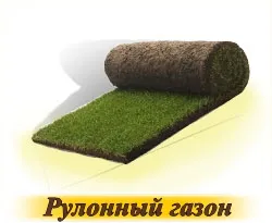 На трева - купуват семена в онлайн магазина 